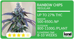 The Extraordinary Fat Bastard Autoflower A Grower's Guide The Extraordinary Fat Bastard Autoflower A Grower's Guide